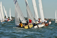 2012 Thistle Midwinters A 161
