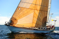 2014 Vineyard Race A 1137