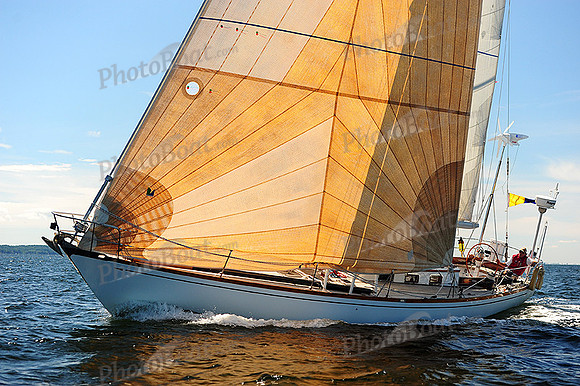 2014 Vineyard Race A 1137