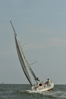 2015 Vineyard Race A 966