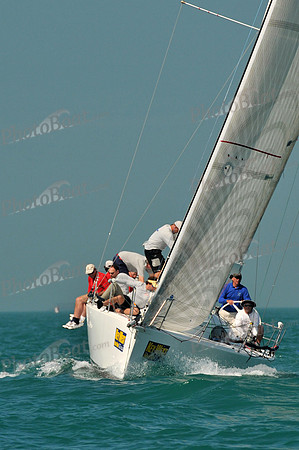 2011_KeyWestRaceWeek_C 1356