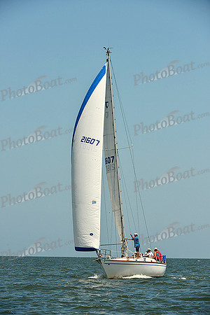 2015 Southern Bay Race Week C 1349