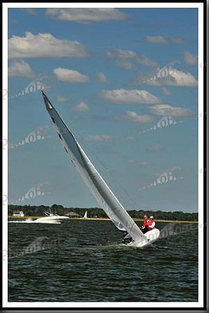proof_2010_EScows_D 600