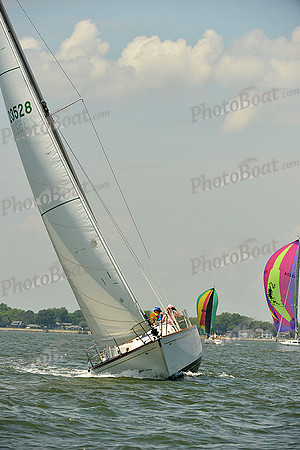 2015 Southern Bay Race Week A 474