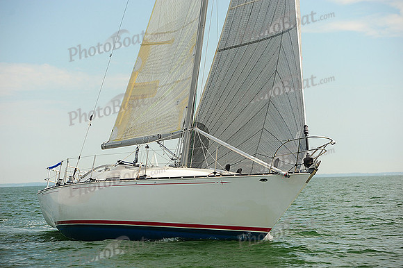 2014 Cape Charles Cup B 662