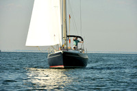 2015 Gov Cup C 1291