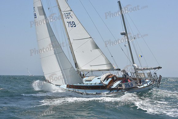 2022 Newport Bermuda_1211