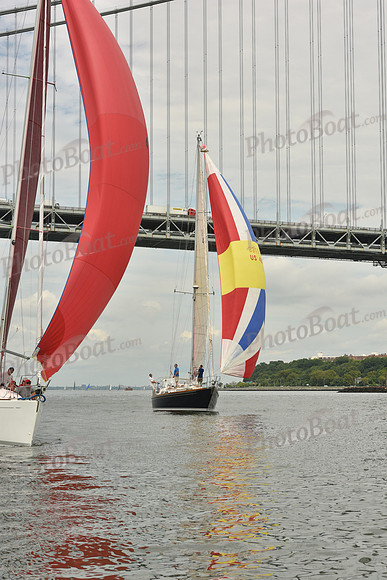 2018 ALIR_0892