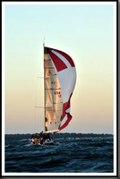 proof_2010_Vineyard_Race_2356