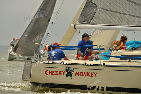 2016 Southern Bay Race Week A_1066