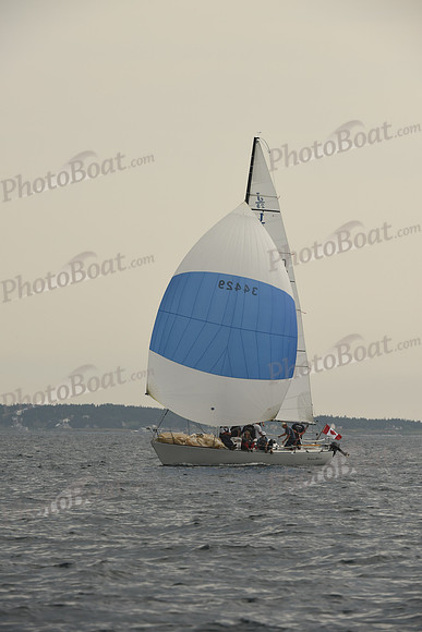 2016 Chester Race Week D_0748