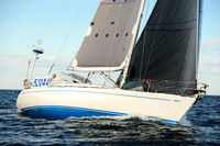 2014 Newport Bermuda A 2710