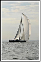 proof_2010 Block Island Race 975