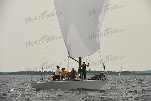 2016 Chester Race Week C_0887