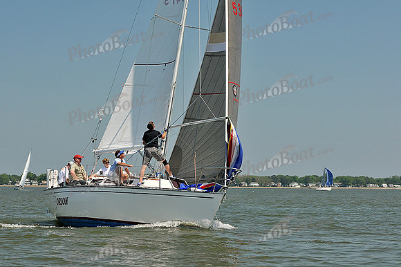 2013 Southern Bay Race Week A 308