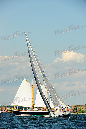 2014 NYYC Race Week C 686