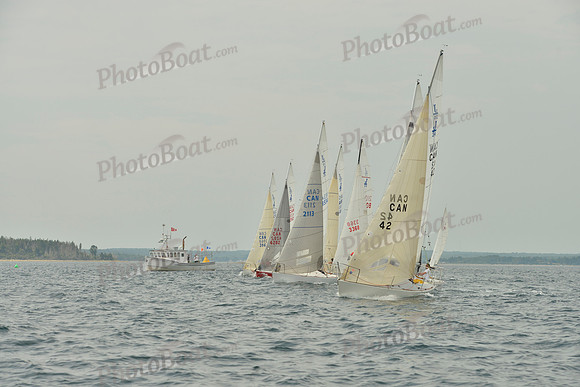 2016 Chester Race Week E_0102