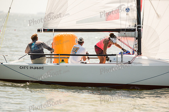 DBP_8236