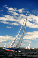 2014 Vineyard Race A 341