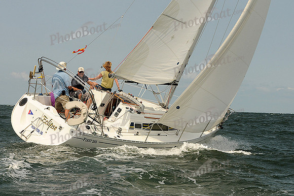 2012 Cape Charles Cup A 1981