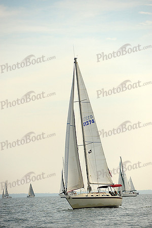 2014 Cape Charles Cup B 244