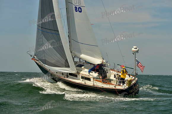 2018 Figawi_0568