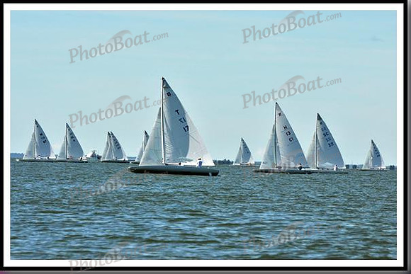 proof_2010_EScows_D 029