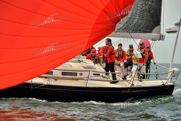 2018 Figawi_2525
