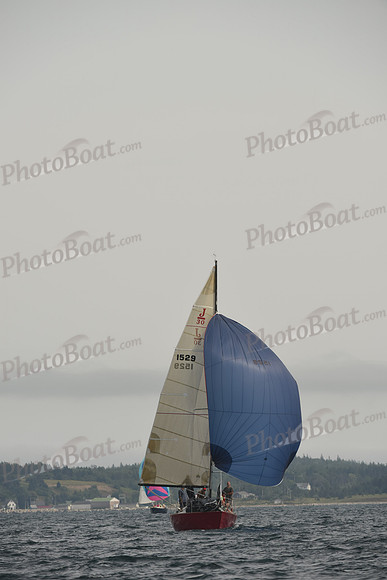 2016 Chester Race Week C_1648