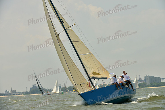 2016 Southern Bay Race Week A_1536