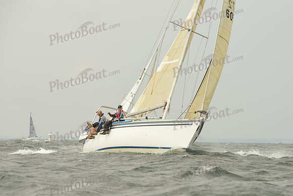 2015 Vineyard Race A 203