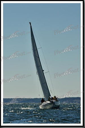 proof_2010_Vineyard_Race_2889