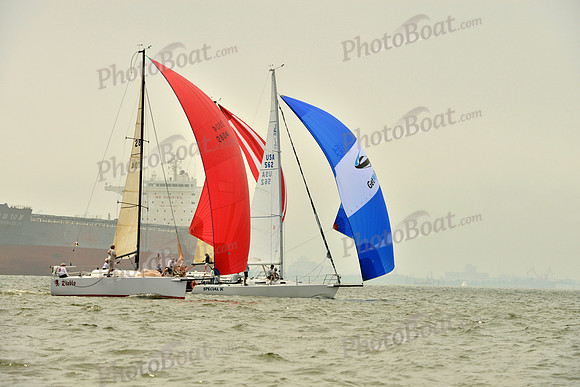 2016 Southern Bay Race Week A_0412