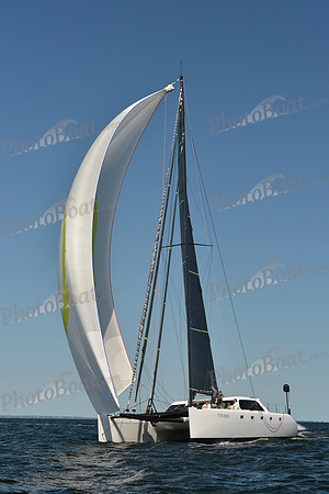 2015 Vineyard Race C 496