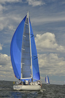 2016 Vineyard Race A_0588