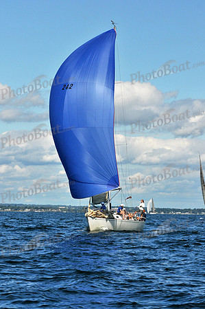 2010 IRC LIS 1538