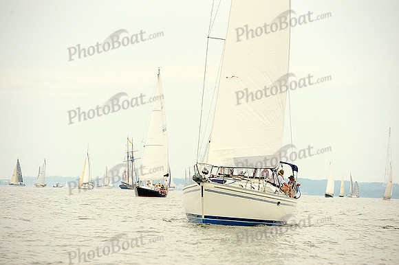 2014 Gov Cup A 239