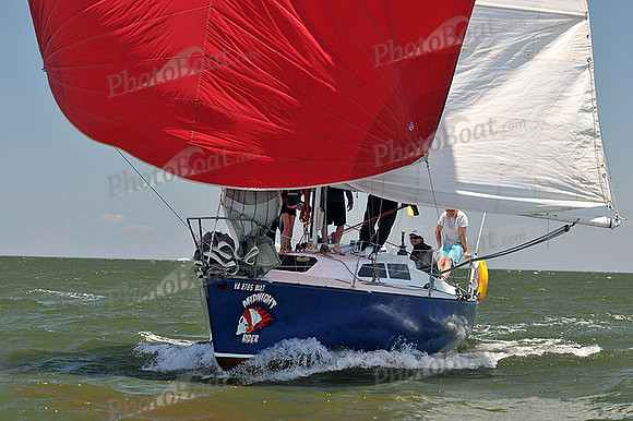 2014 Southern Bay Race Week C 2306