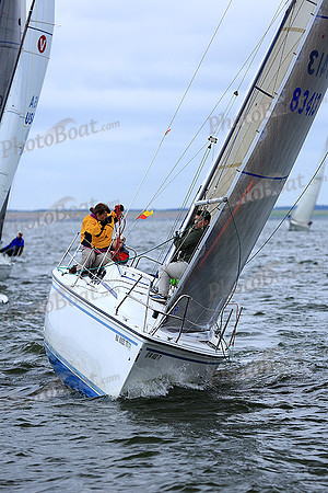 2014 Southern Bay Race Week DB 254