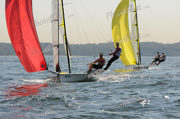 2011 HPDO A 291