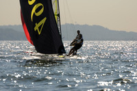 2011 HPDO A 278