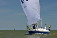2014 Southern Bay Race Week D 1107