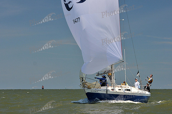 2014 Southern Bay Race Week D 1107