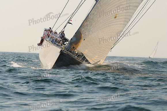 2010_NptBmda_2262