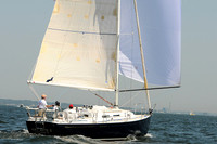 2012 Vineyard Race A 297