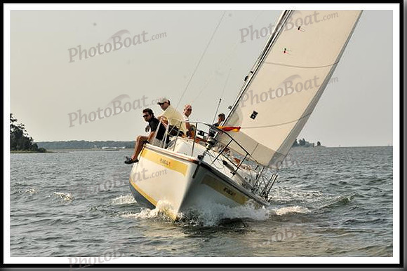 proof_2010 Gov Cup D 292