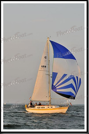 proof_2010 Gov Cup A 1248