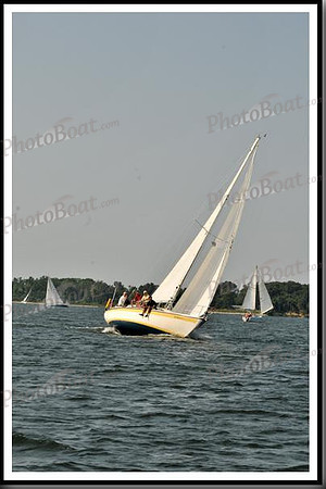 proof_2010 Gov Cup D 279
