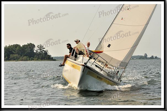 proof_2010 Gov Cup D 293