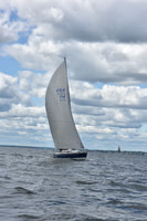2021 Vineyard Race A 1168